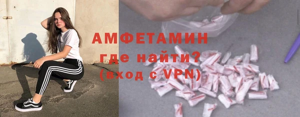 сатива Горняк