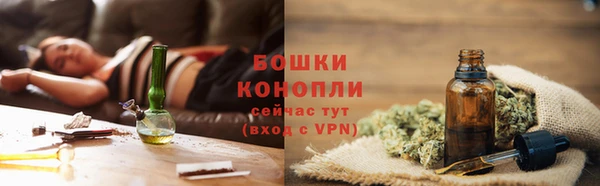 сатива Горняк