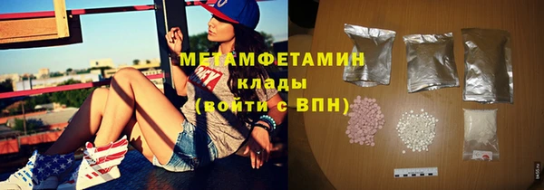 сатива Горняк